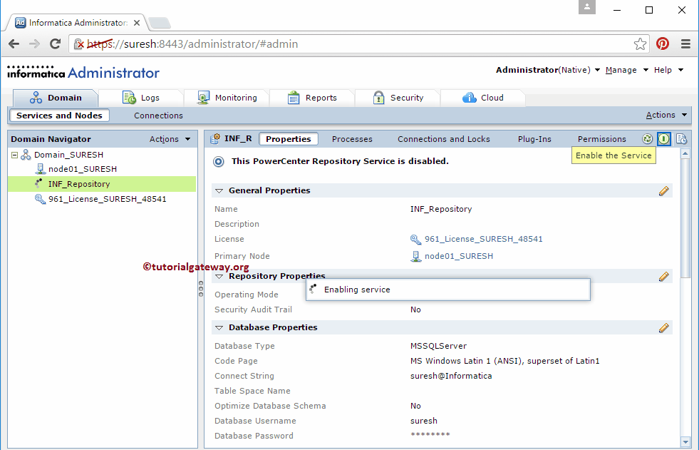 Informatica Repository Service 6